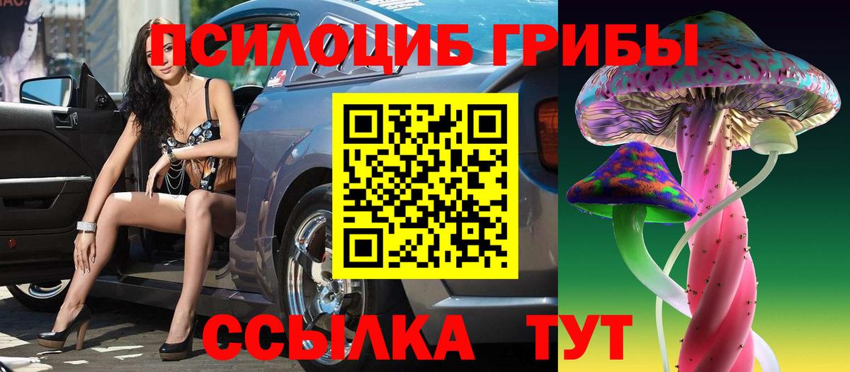 где продают   Галлюциногенные грибы Psilocybe  Галлюциногенные грибы прущие грибы  Вход с VPN  Вязьма 