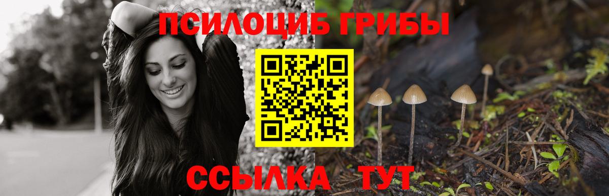 Галлюциногенные грибы ЛСД Вязьма